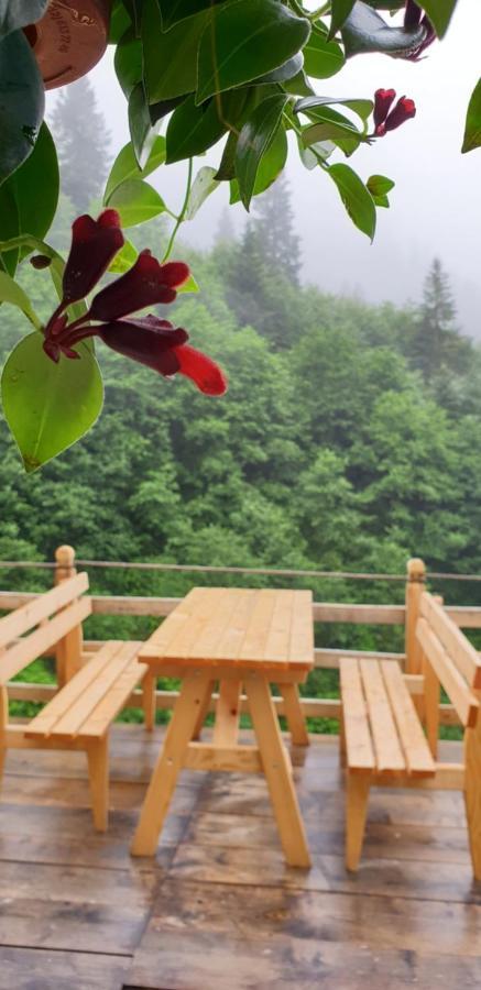 Serinyer Dag Evi Ayder Yaylasi Exterior foto